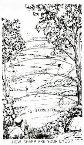 How Sharp Are Your Eyes