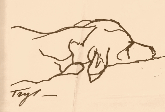 Sketch of his dog Betsy.